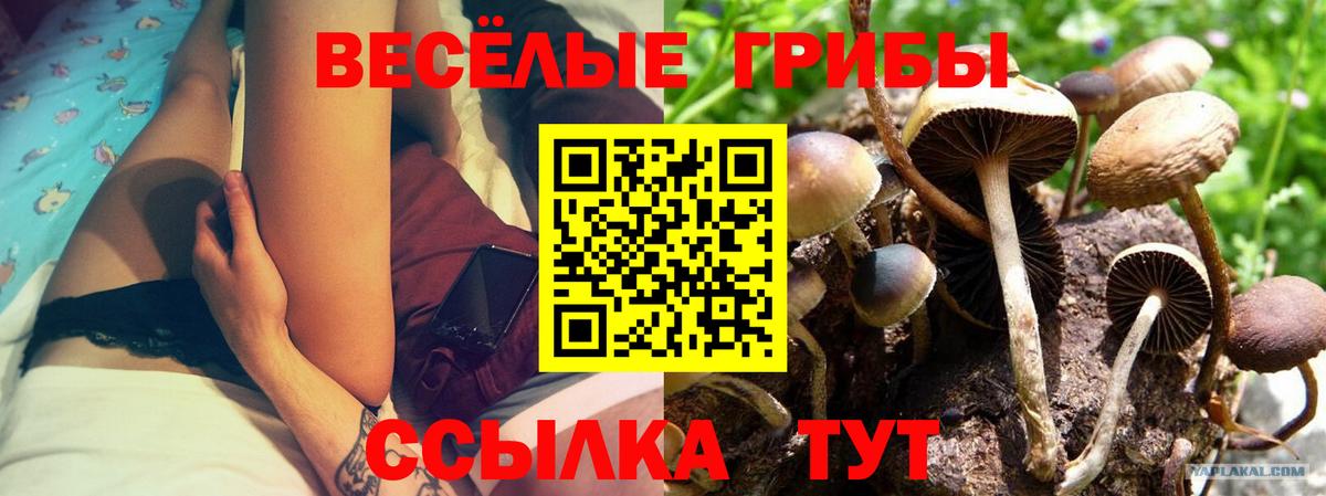 Галлюциногенные грибы MAGIC MUSHROOMS  Галлюциногенные грибы мицелий  Вход с VPN  Отрадный 