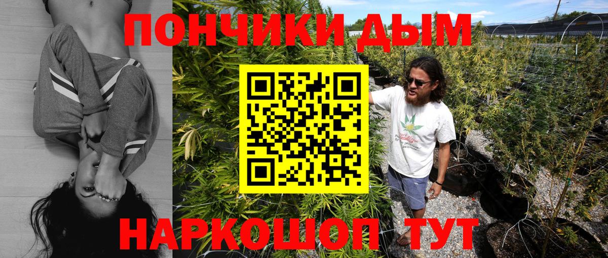 Каннабис OG Kush Отрадный